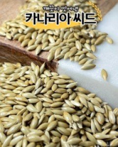 (세척해서 깨끗!)볶은 카나리아 씨드 100g