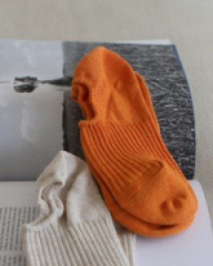 golgi fake socks_6c