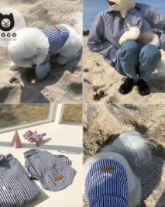 [오늘출발](모코댕댕)깔끔콤비셔츠 #강아지옷