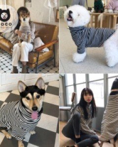 [오늘출발](모코댕댕)단가라입고멋멍 #강아지옷