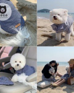 [오늘출발](모코댕댕)해변산책하개 #강아지옷세트