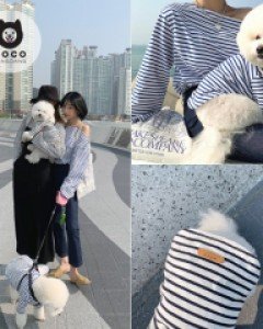 [오늘출발](모코댕댕)귀염뽀짝템 #강아지옷