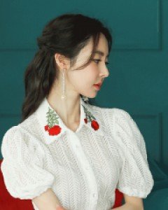 *자수카라 블라우스*