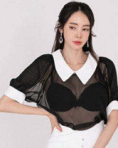 *벤자민 블라우스*