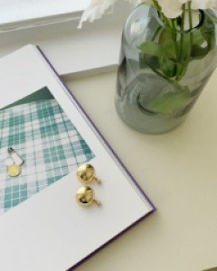 Jemisphere earring
