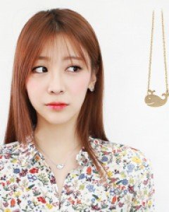 스지귀염고래N
