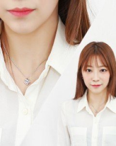 슈어로즈N
