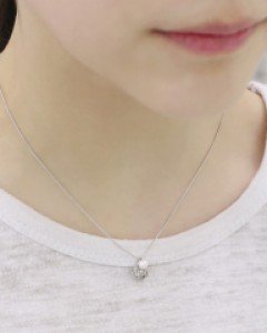 유어로즈N