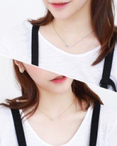 미니하트윙N