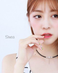 스테카초커N