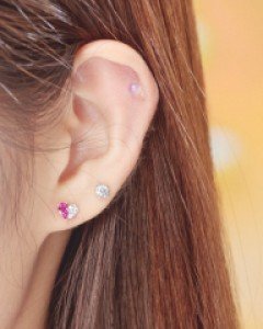 세니스P(낱개)