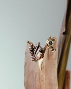 라바폴리지 피어싱 (낱개) 방향랜덤