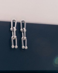 듀시즈 귀걸이 (한쌍)