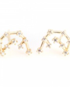 [제나벨라] 14K18K 심플 침 아쿠아리우스 귀걸이 [별자리-물병자리]