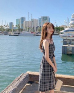 feminine check dress