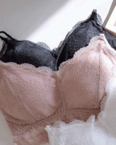 [탑브라]데이지 탑브라