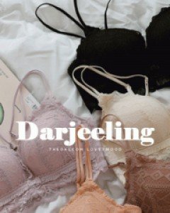 4cm 왕뽕 [노와이어] 다즐링 속옷세트