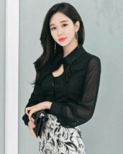 나비쉬폰 블라우스
