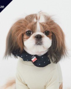 폼스카프 스타네이비 L