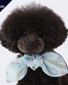 폼스카프 차일드 L