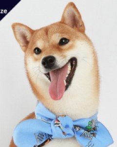 폼스카프 바이씨 S