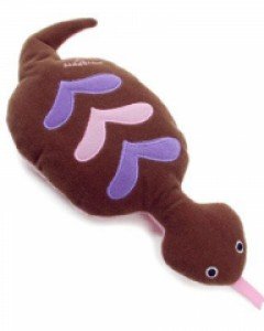 츠치노코