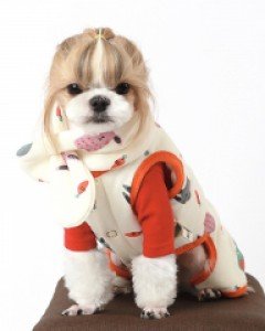 당근패딩올인원
