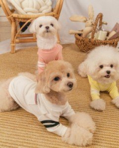 블랙라벨퍼피 포켓 티셔츠