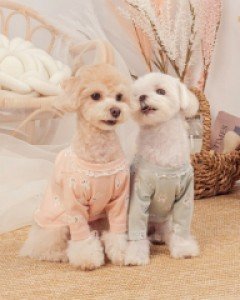 블랙라벨퍼피 토끼 티셔츠
