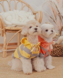 블랙라벨퍼피 카라멜 후드