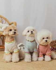 코코펫 네온라인 티셔츠