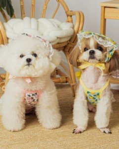 블랙라벨퍼피 라임원피스 ( S ~ XL )