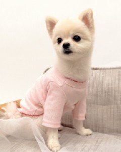 그루밍독 펀칭 티셔츠
