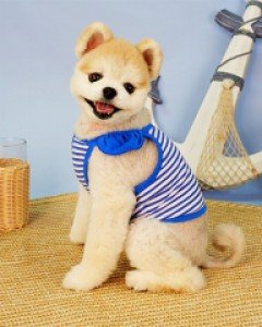 그루밍독 마린크롭 ( S ~ 2XL )