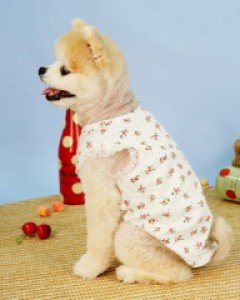도기스타 도트플라워 나시 그레이 ( XL, 3XL )