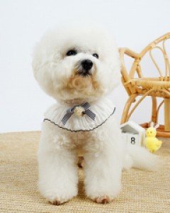 블랙라벨퍼피 레이디케이프 ( S ~ L )