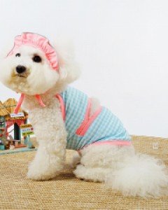 그루밍독 체크 비키니 ( S ~ 2XL )