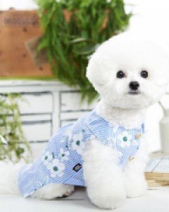 바람꽃 셔츠 블루