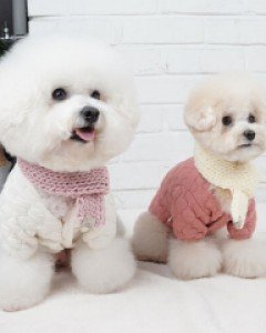 그루밍독 누빔자켓