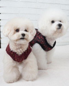 블랙라벨퍼피 그랜마베스트