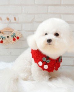 블랙라벨퍼피 핸드메이드 케이프