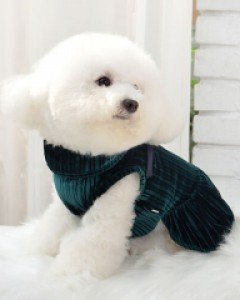 제이앤제이 벨벳파티 원피스