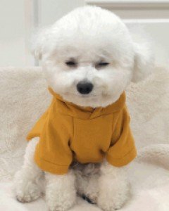 까니쉬 주인님후드티