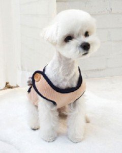코코펫 단추 수면조끼