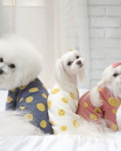 제이앤제이 표정 올인원