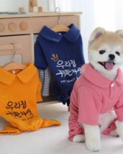 소중한 우리집 막둥이 까니쉬 귀한아이양면카라기모올인원