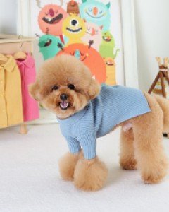 가을에도 예쁜옷 입어야죠 까니쉬 파스텔카라니트가디건
