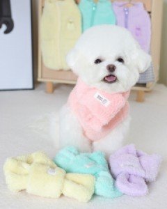 겨울에도 패션 포기 못해 레이지펫 젤리곰목도리조끼세트
