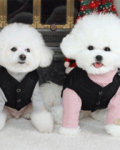아우터부터 이너까지 코디 걱정 끝! 코니퀼팅베스트+라벨터틀넥(랜덤) 세트구성