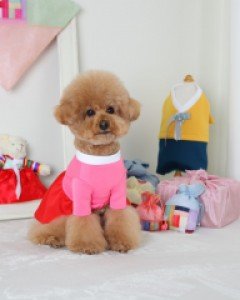 시선강탈 유니크하고 강렬한 GL 비비드한복